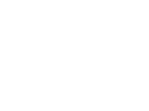 max fritz